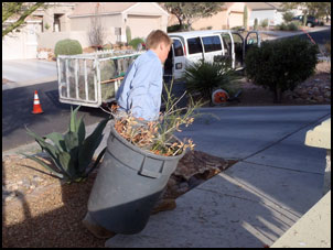 Reliable Landscape Services, Reliable Landscape Services Tucson
